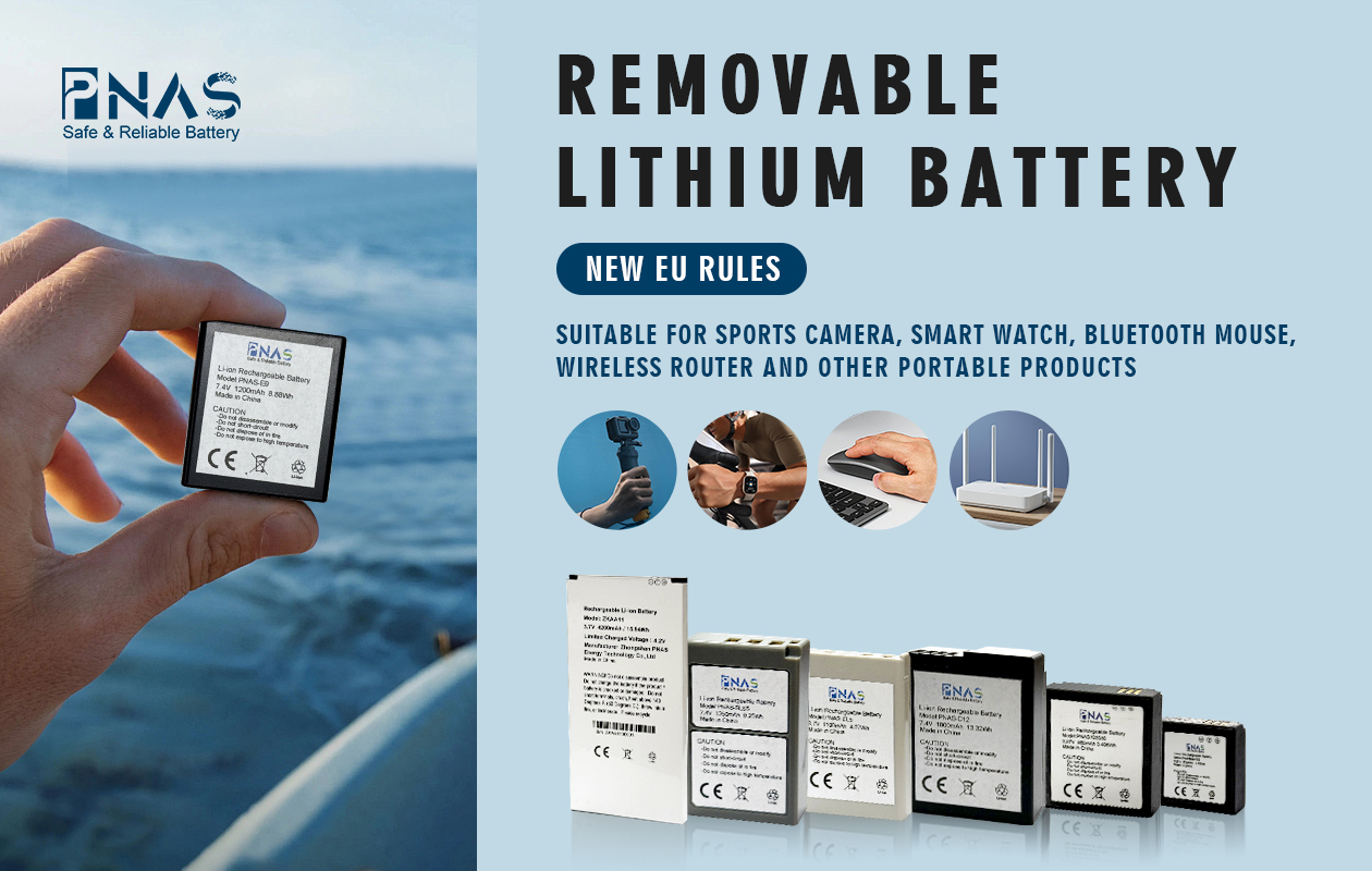 Removable lithium battery